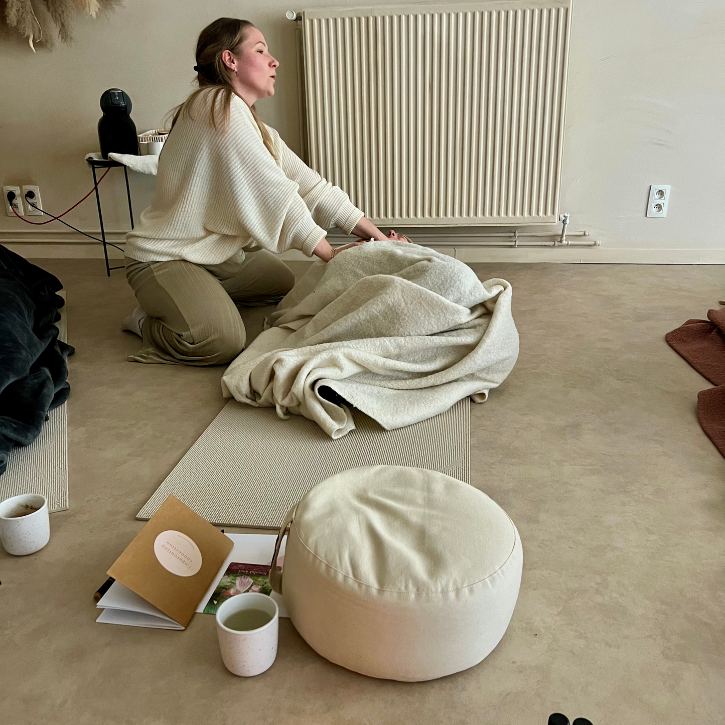 Coparenting Connection - Healing Day
